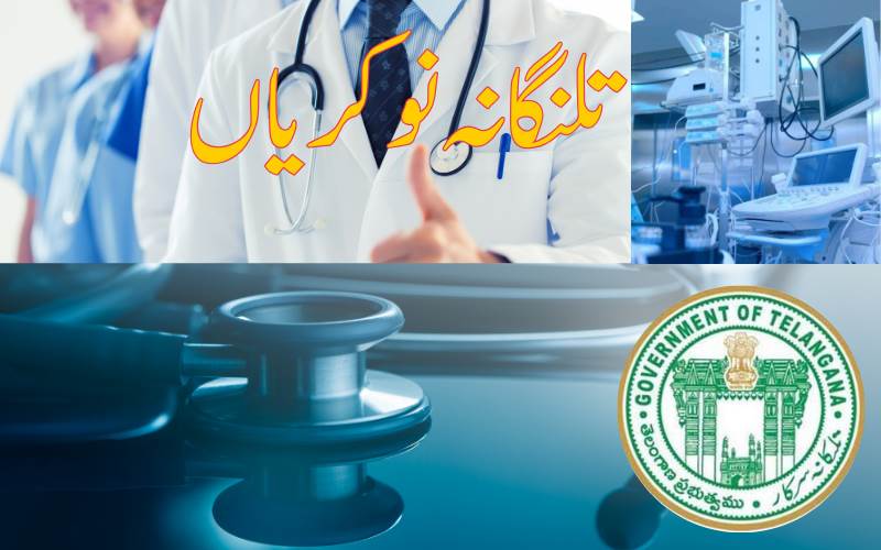   تلنگانہ میں بے روزگاروں کے لیے اچھی خبر۔ ریاستی  وزیرکا اسمبلی میں اعلان